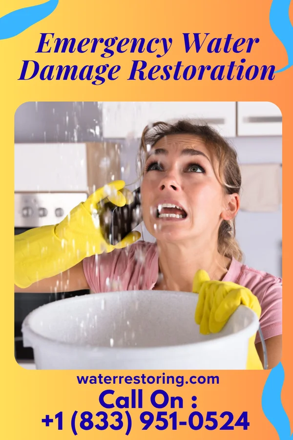 Emergency Water Damage Restoration in Flora, IN