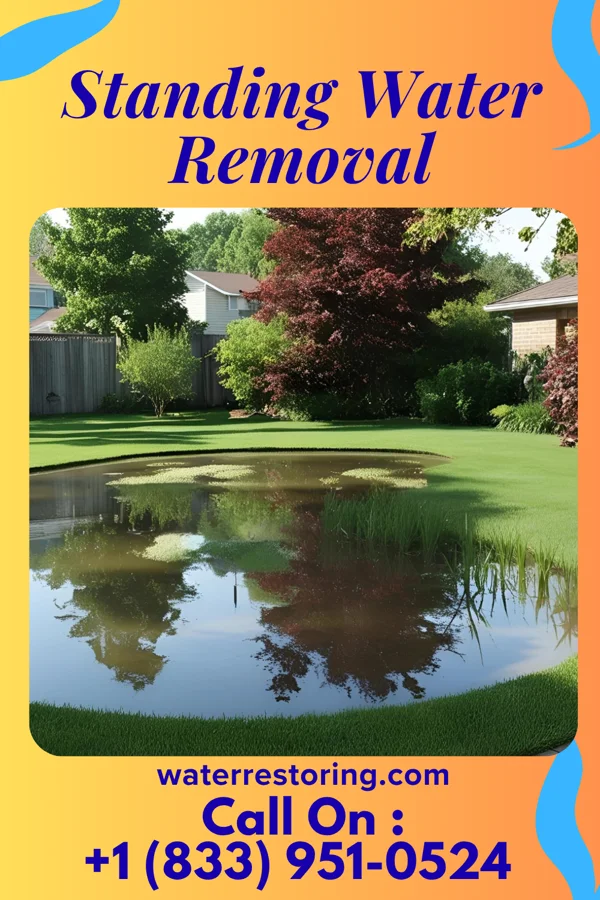 Standing Water Removal in Flora, IN